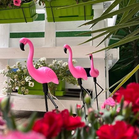 Hotel Casa Flamingo Figueira da Foz Zewnętrze zdjęcie