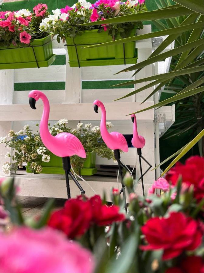 Hotel Casa Flamingo Figueira da Foz Zewnętrze zdjęcie